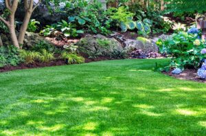 A person laying fresh sod strips on prepared soil in a residential backyard.